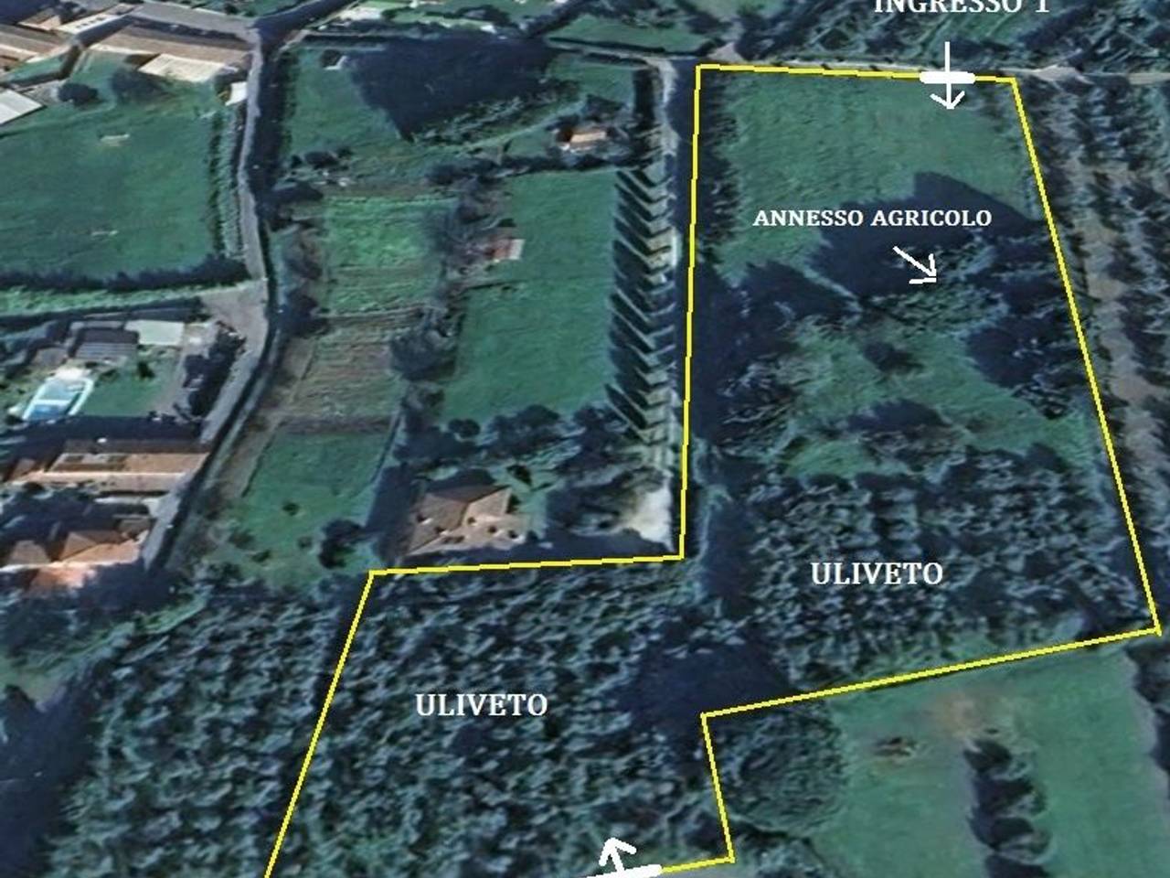 immagine annuncio 2 di 12