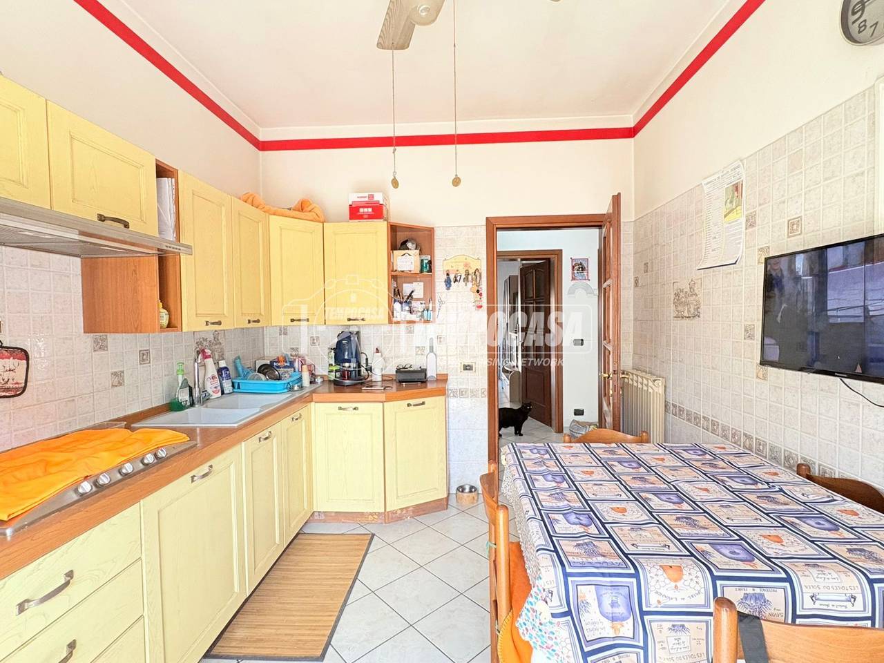 immagine annuncio 11 di 14