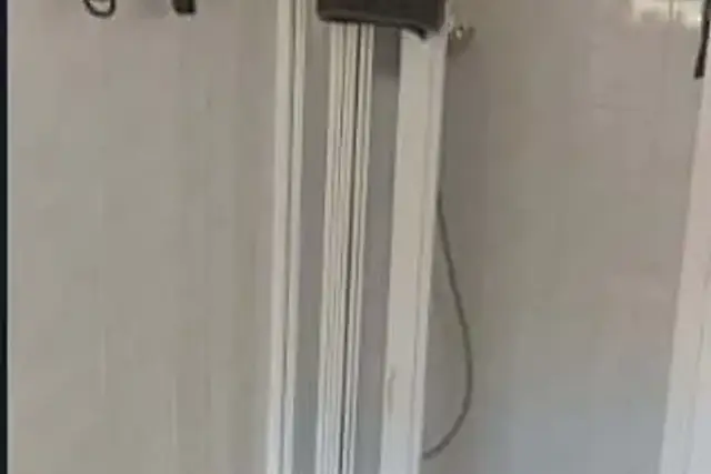 insertion image