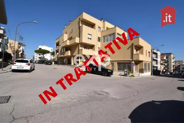 insertion image
