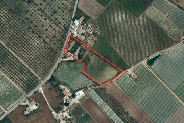insertion image