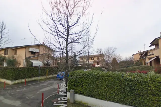 insertion image