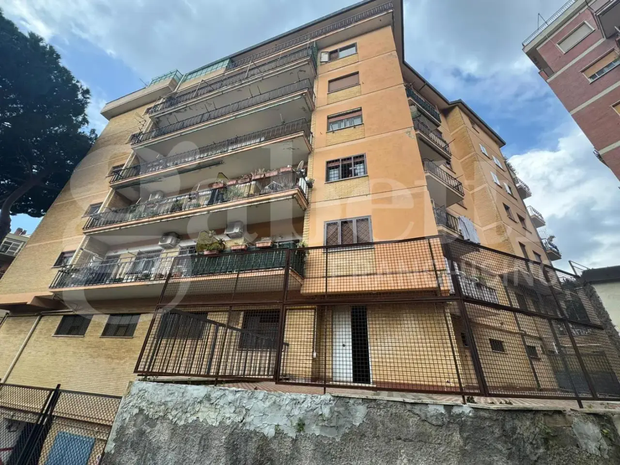 Magazzino in Via del Crocifisso Snc, Marino, {3} - Foto 2