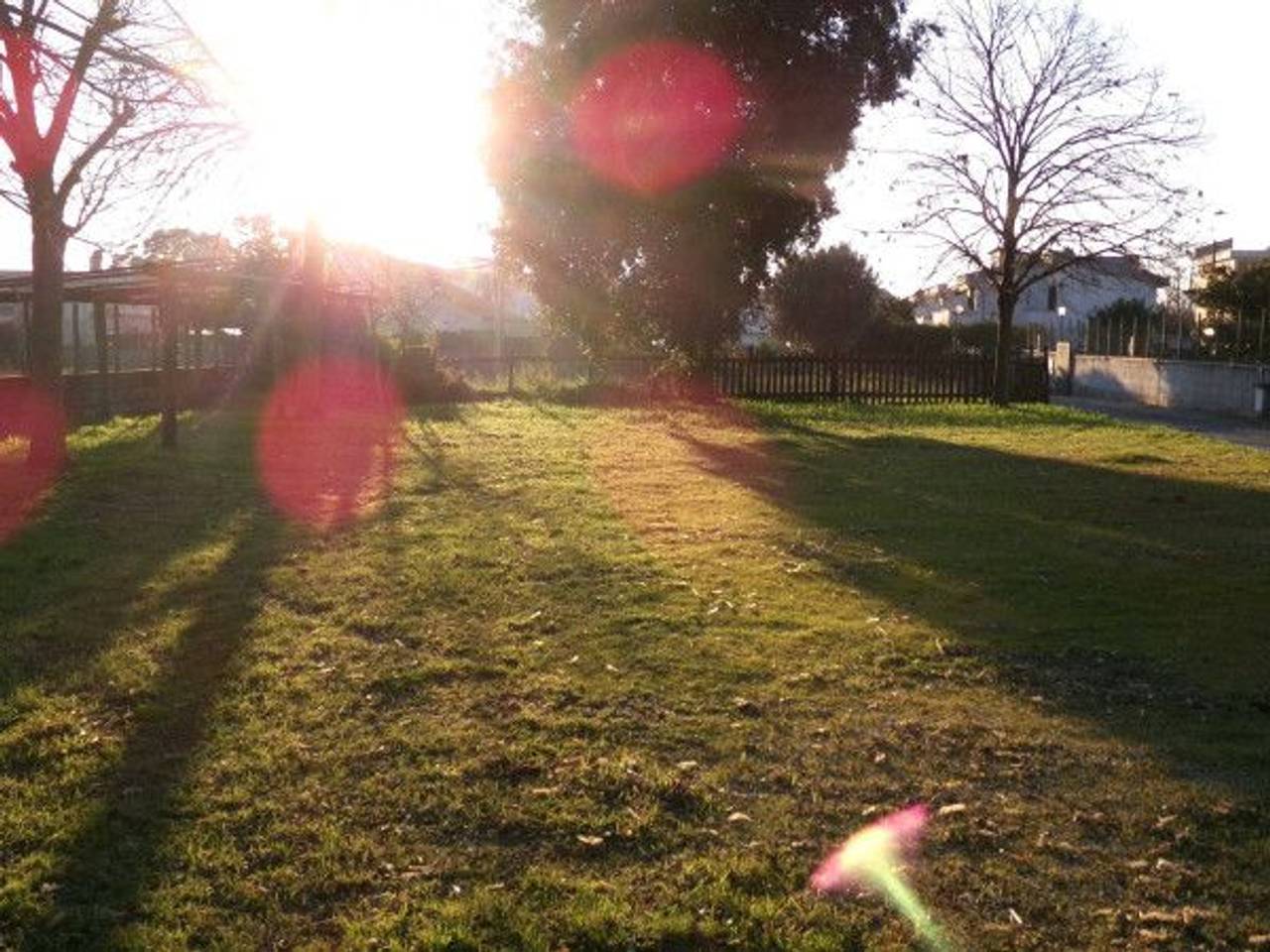 immagine annuncio 3 di 14