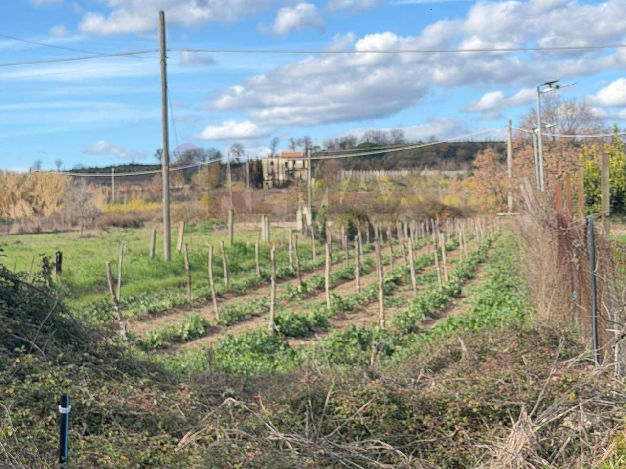 immagine annuncio 6 di 8