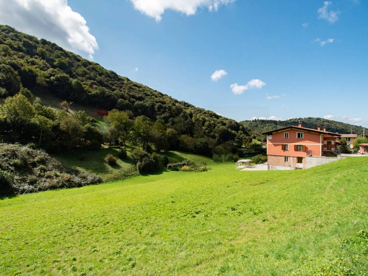 immagine annuncio 11 di 13