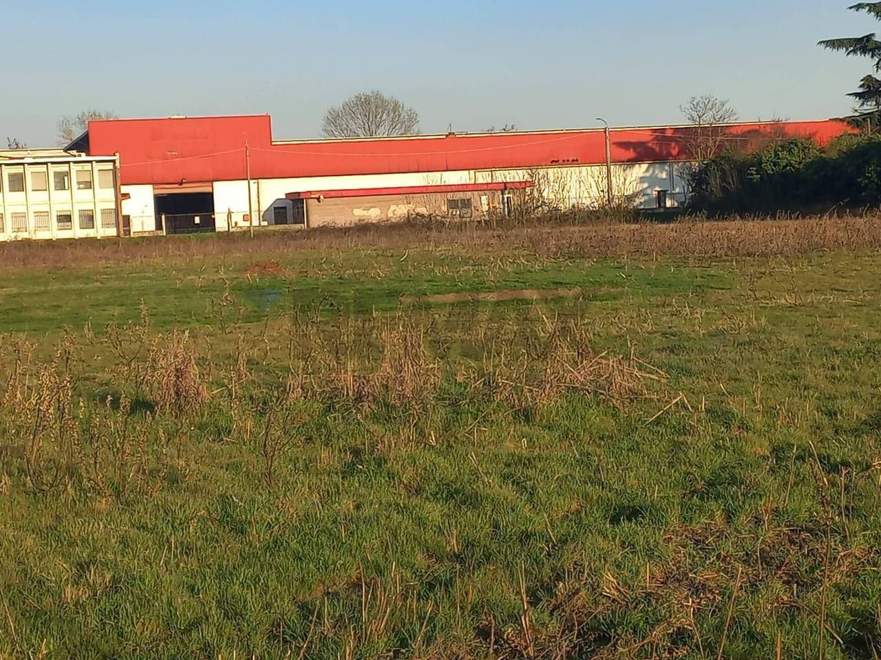 immagine annuncio 9 di 14