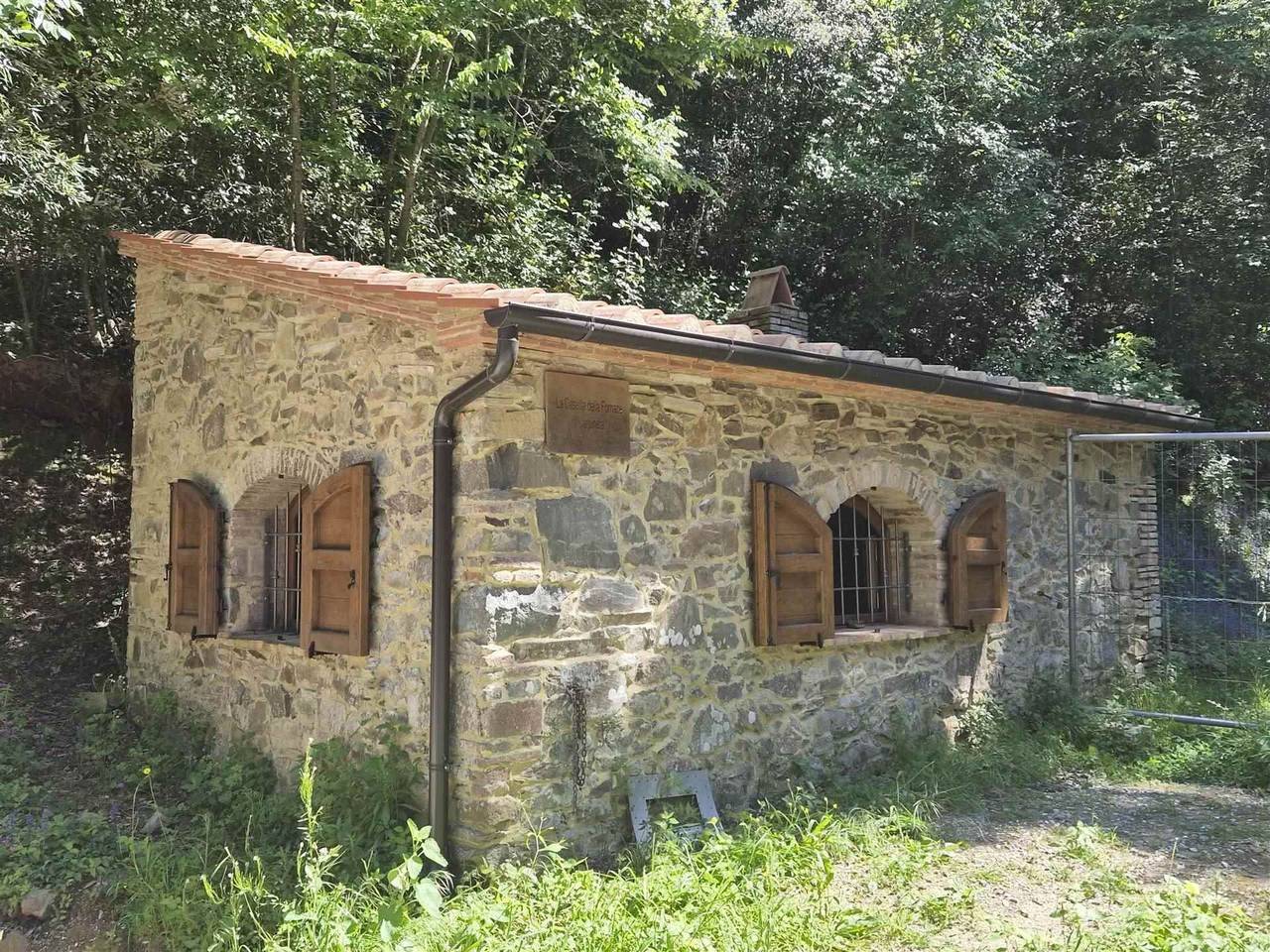 immagine annuncio 1 di 14