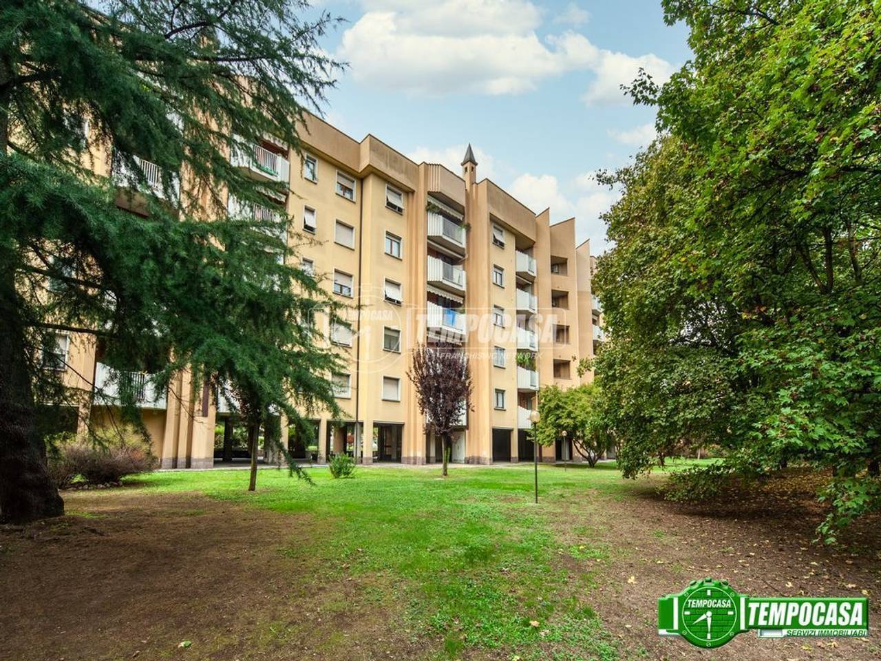 immagine annuncio 5 di 9