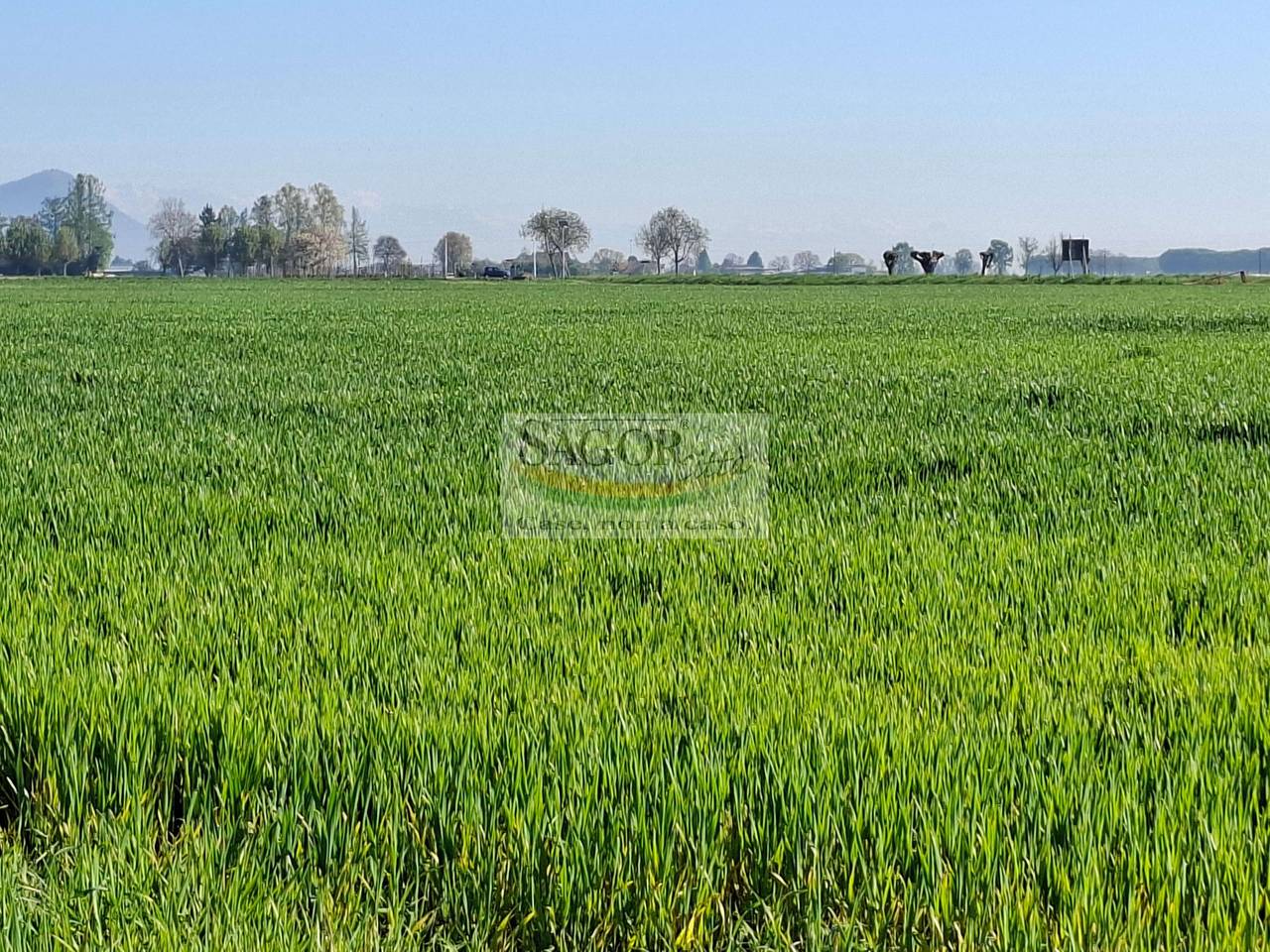 immagine annuncio 1 di 6