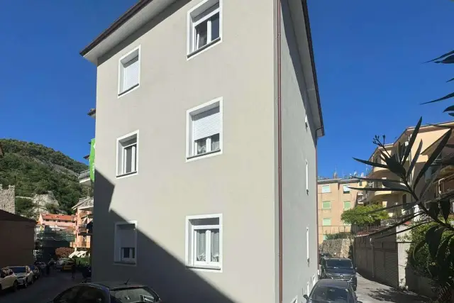 insertion image