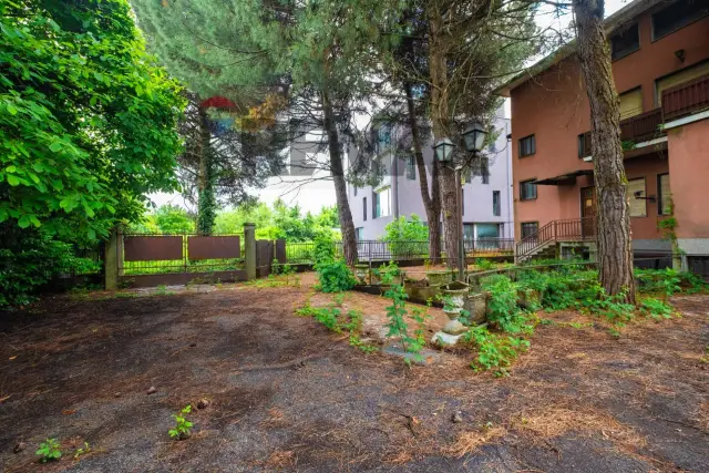 insertion image