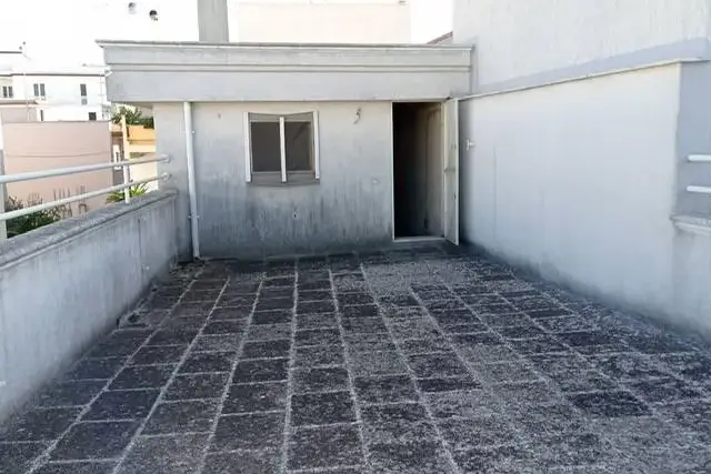 insertion image