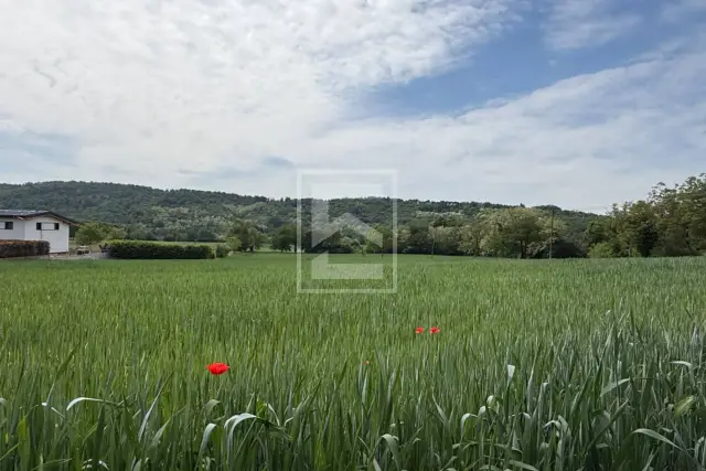 insertion image