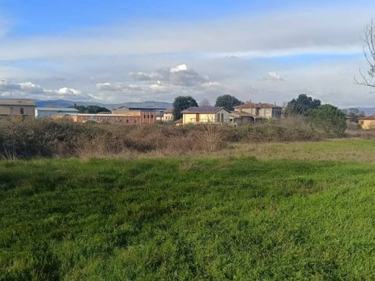 immagine annuncio 1 di 2