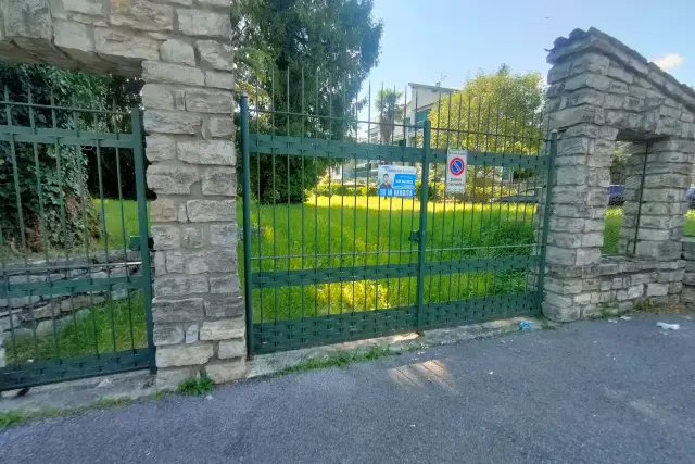 insertion image