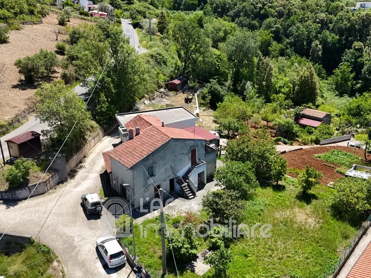 Podere - Tenuta in Contrada Mazzacarbone  | Maierà  (Cosenza), Maiera', {3} - Foto 2