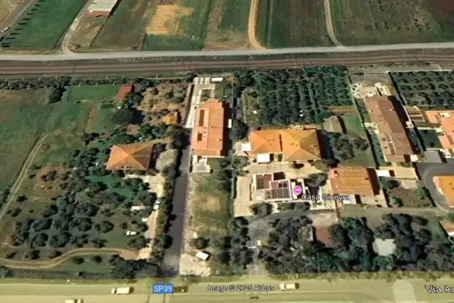 insertion image