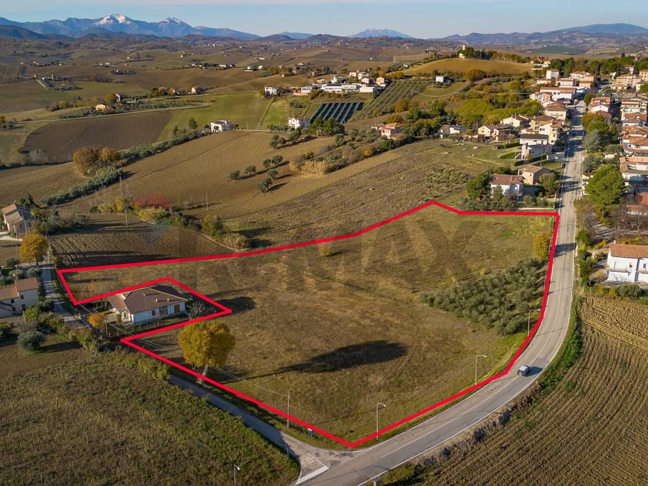 immagine annuncio 9 di 15