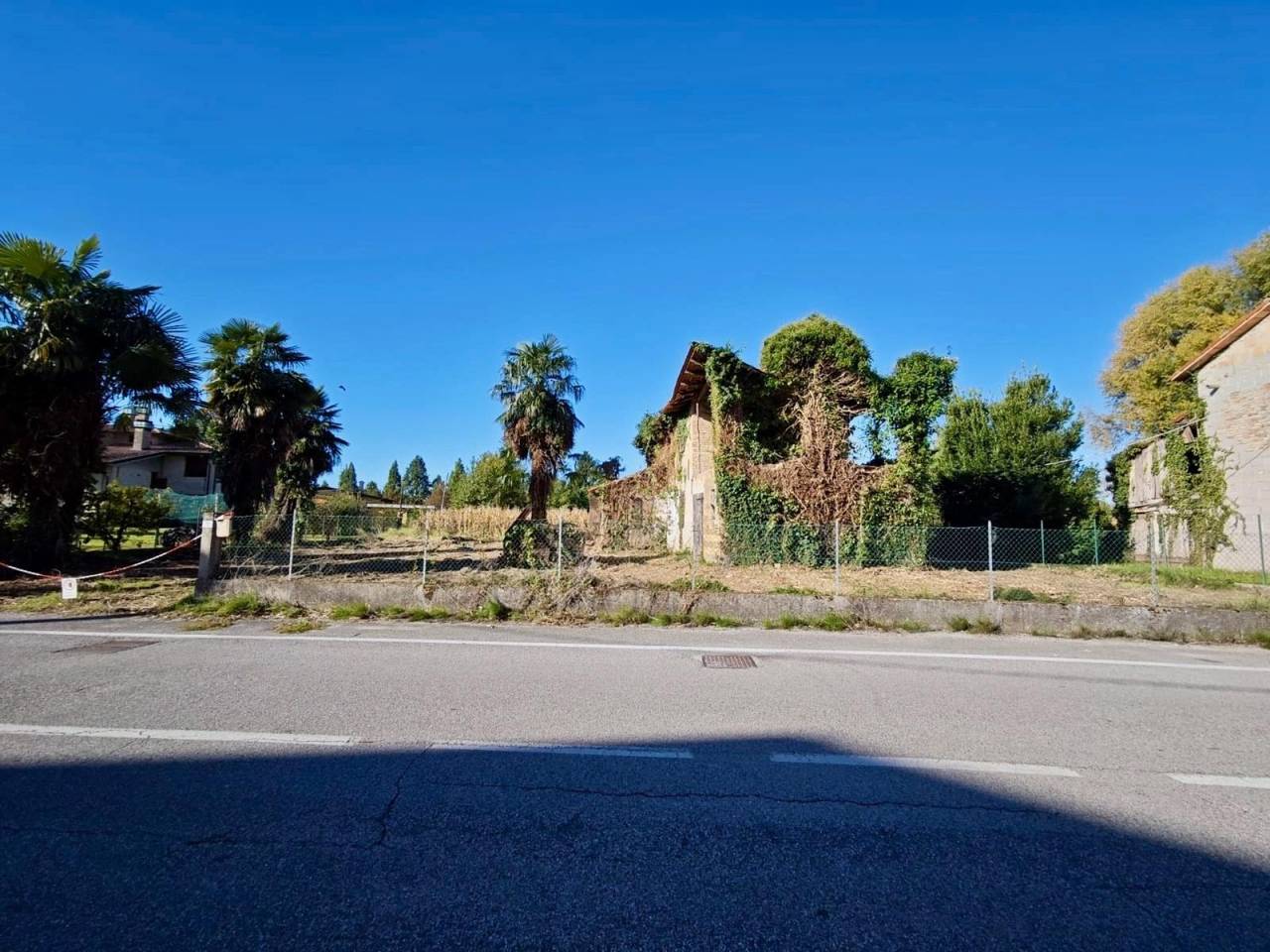 immagine annuncio 2 di 8