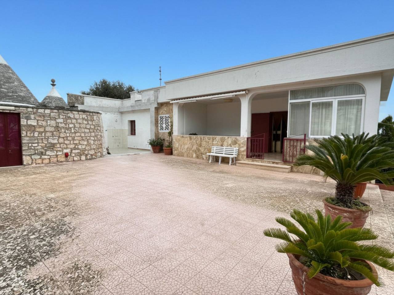 immagine annuncio 3 di 15