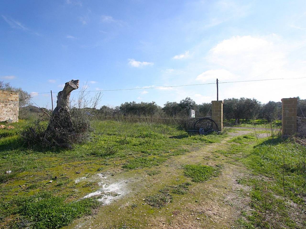 immagine annuncio 5 di 15