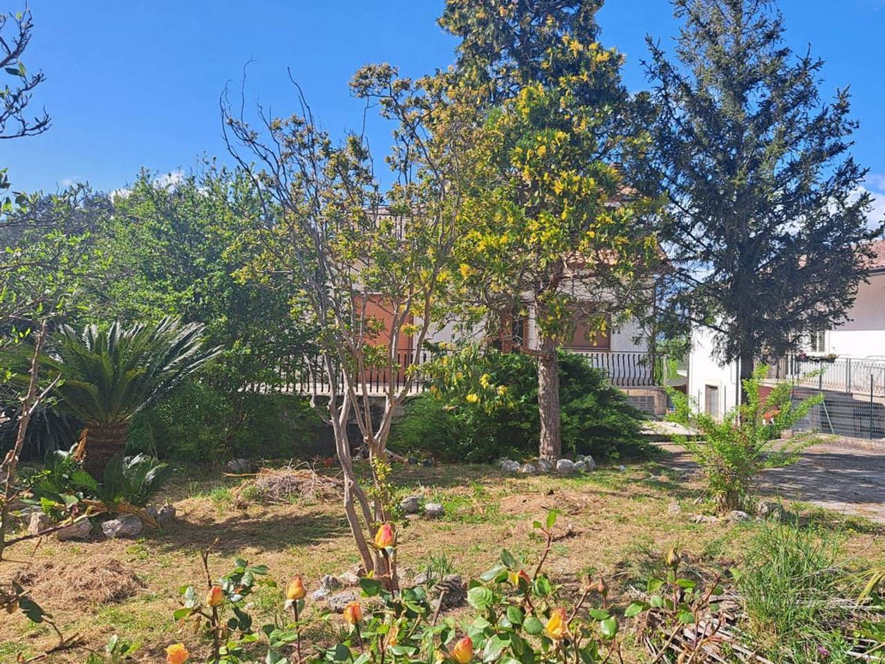 immagine annuncio 5 di 8