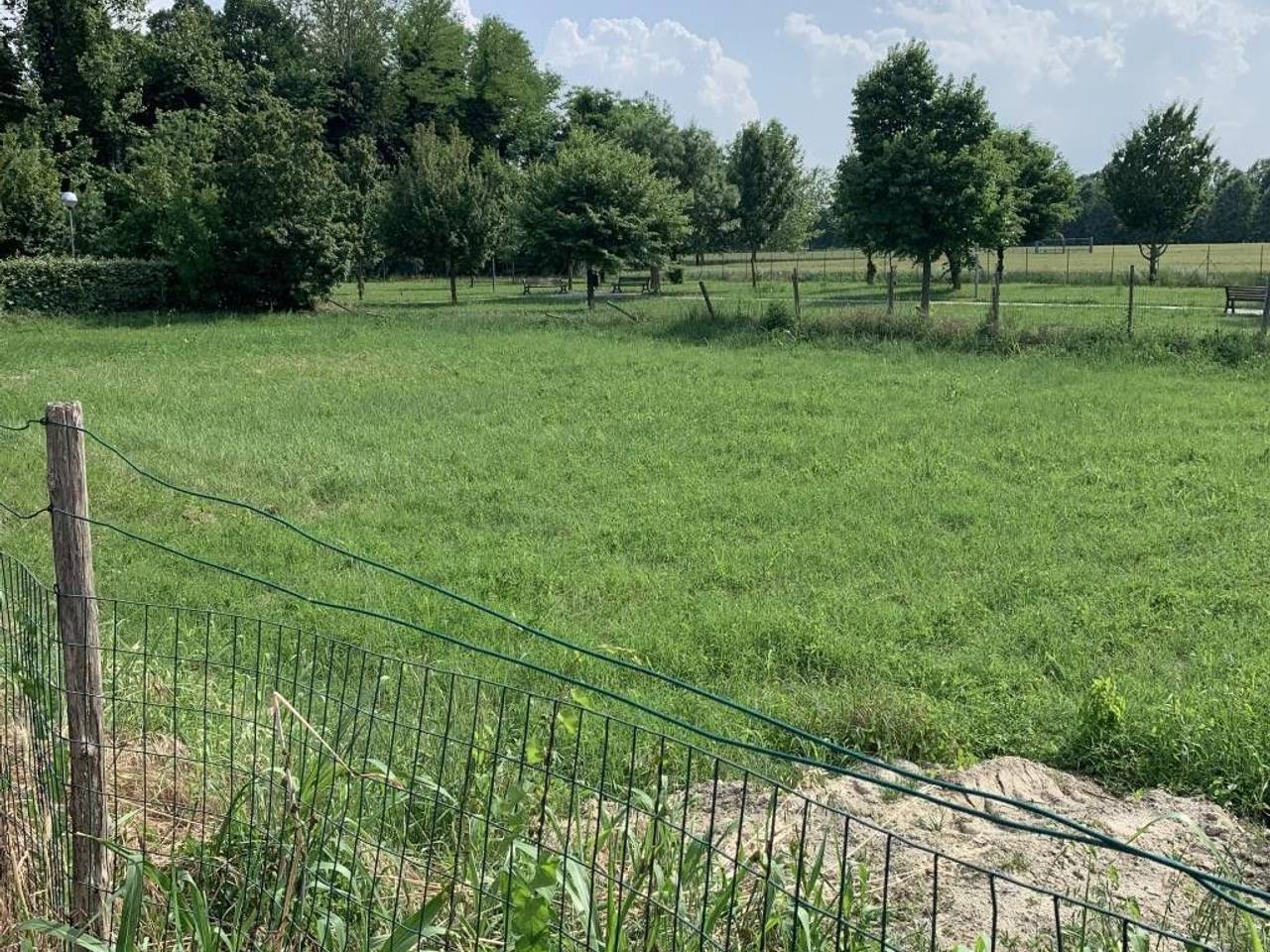 immagine annuncio 2 di 3