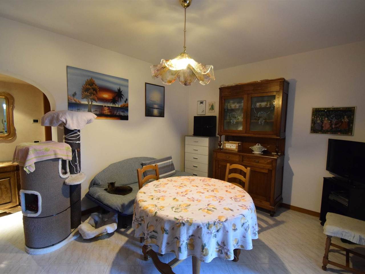 immagine annuncio 5 di 13
