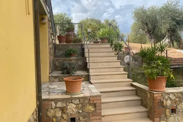 insertion image