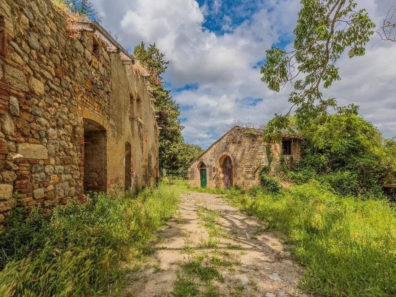 immagine annuncio 7 di 15