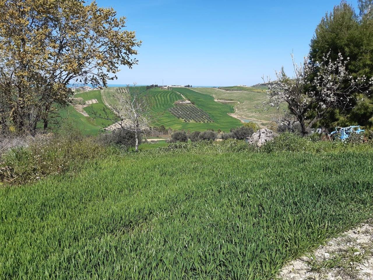 immagine annuncio 8 di 12