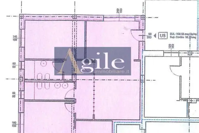 insertion image