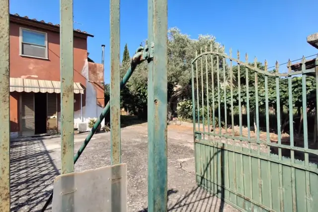 insertion image