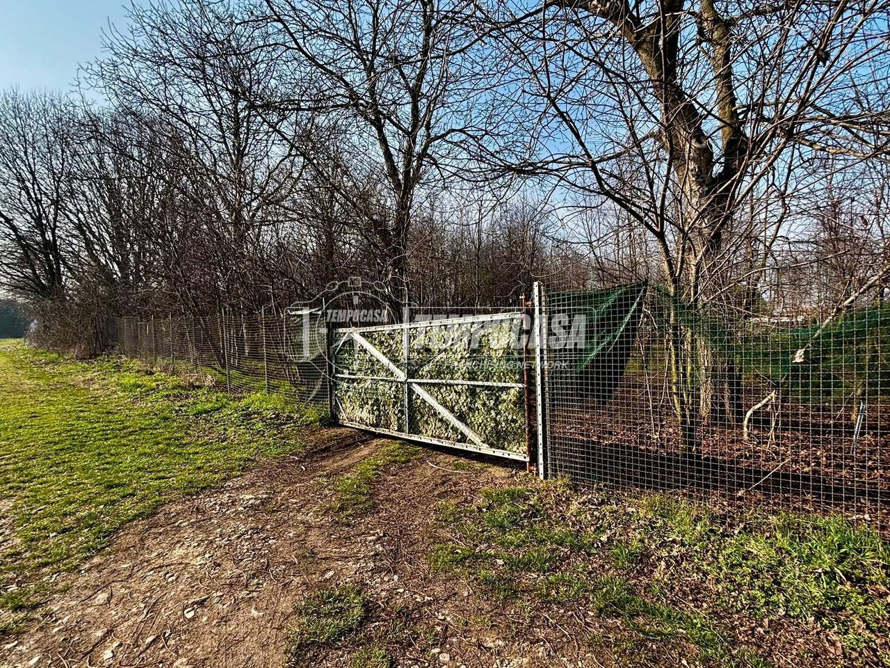 immagine annuncio 8 di 12