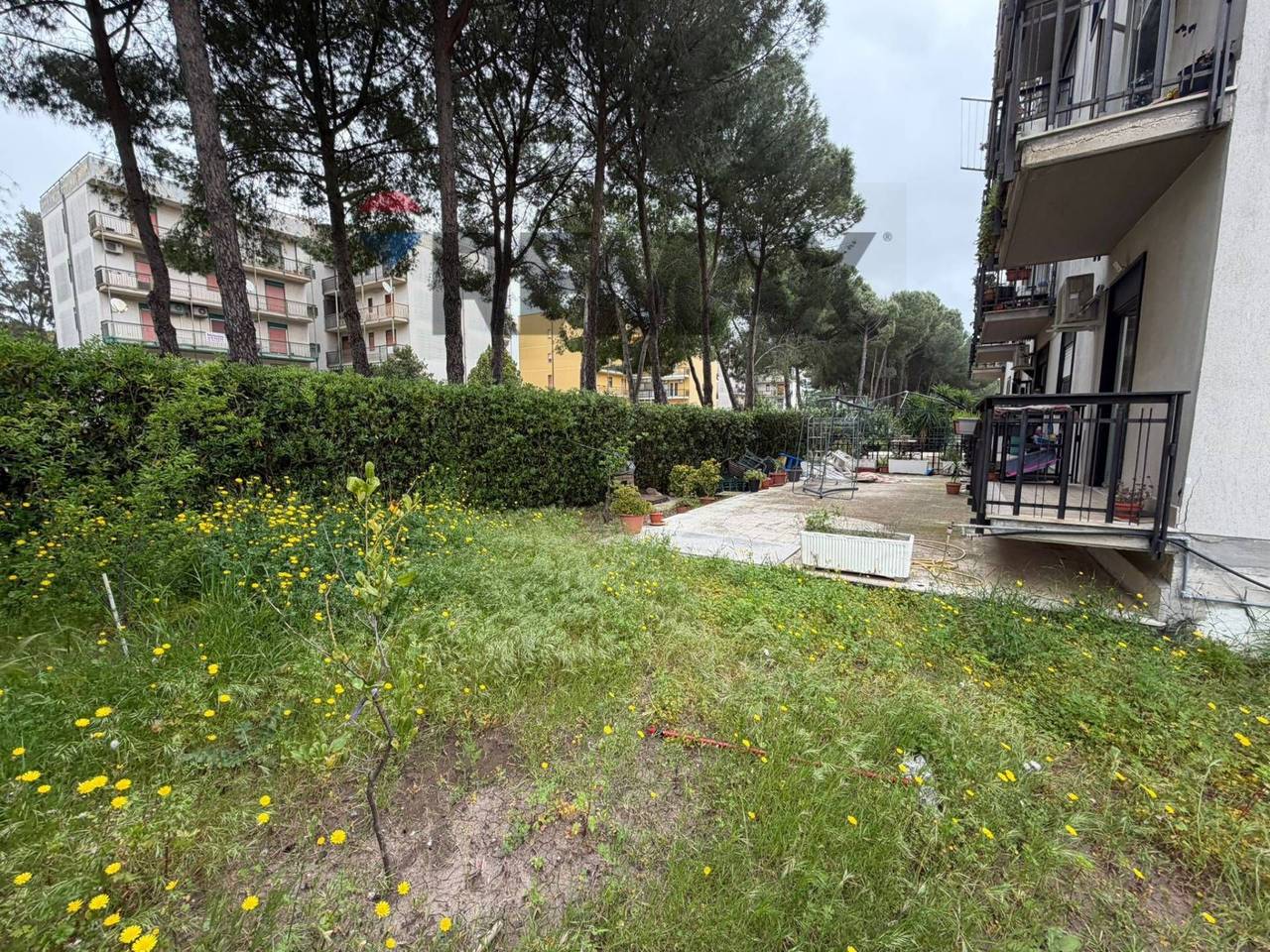 immagine annuncio 3 di 6