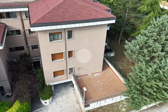 insertion image