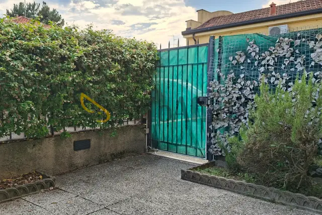 insertion image