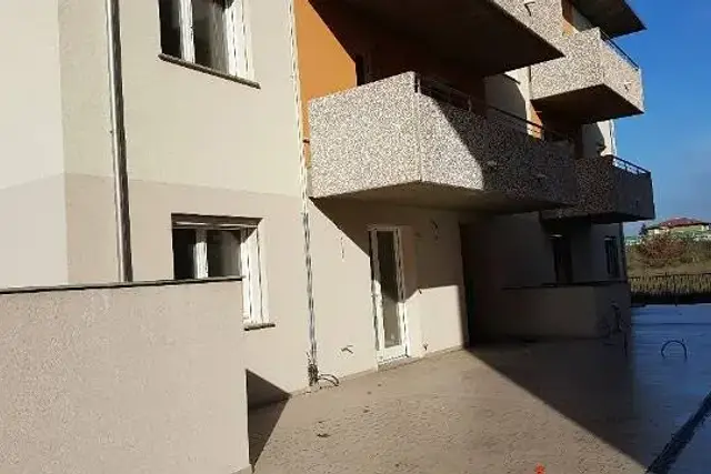 insertion image