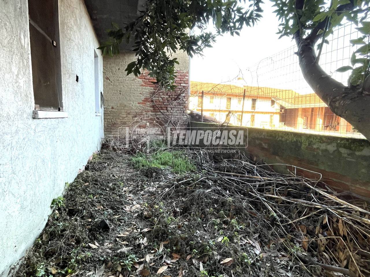 immagine annuncio 6 di 14