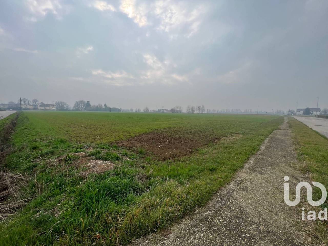 immagine annuncio 3 di 7