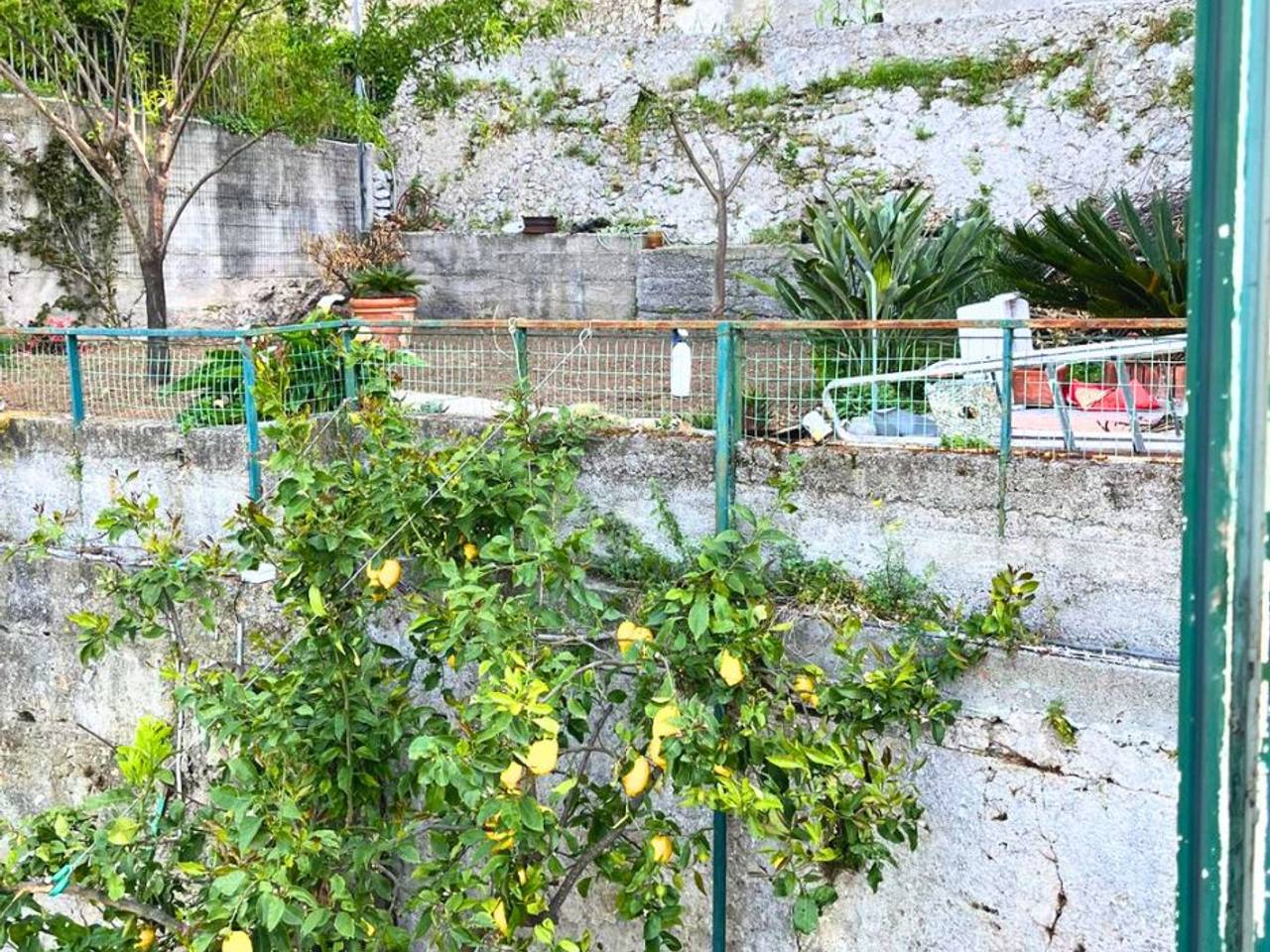 immagine annuncio 7 di 14