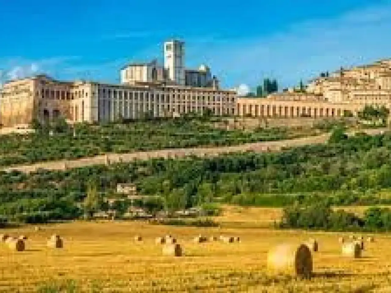 Negozio in Via San Gabriele dell'Addolorata, Assisi, {3} - Foto 1