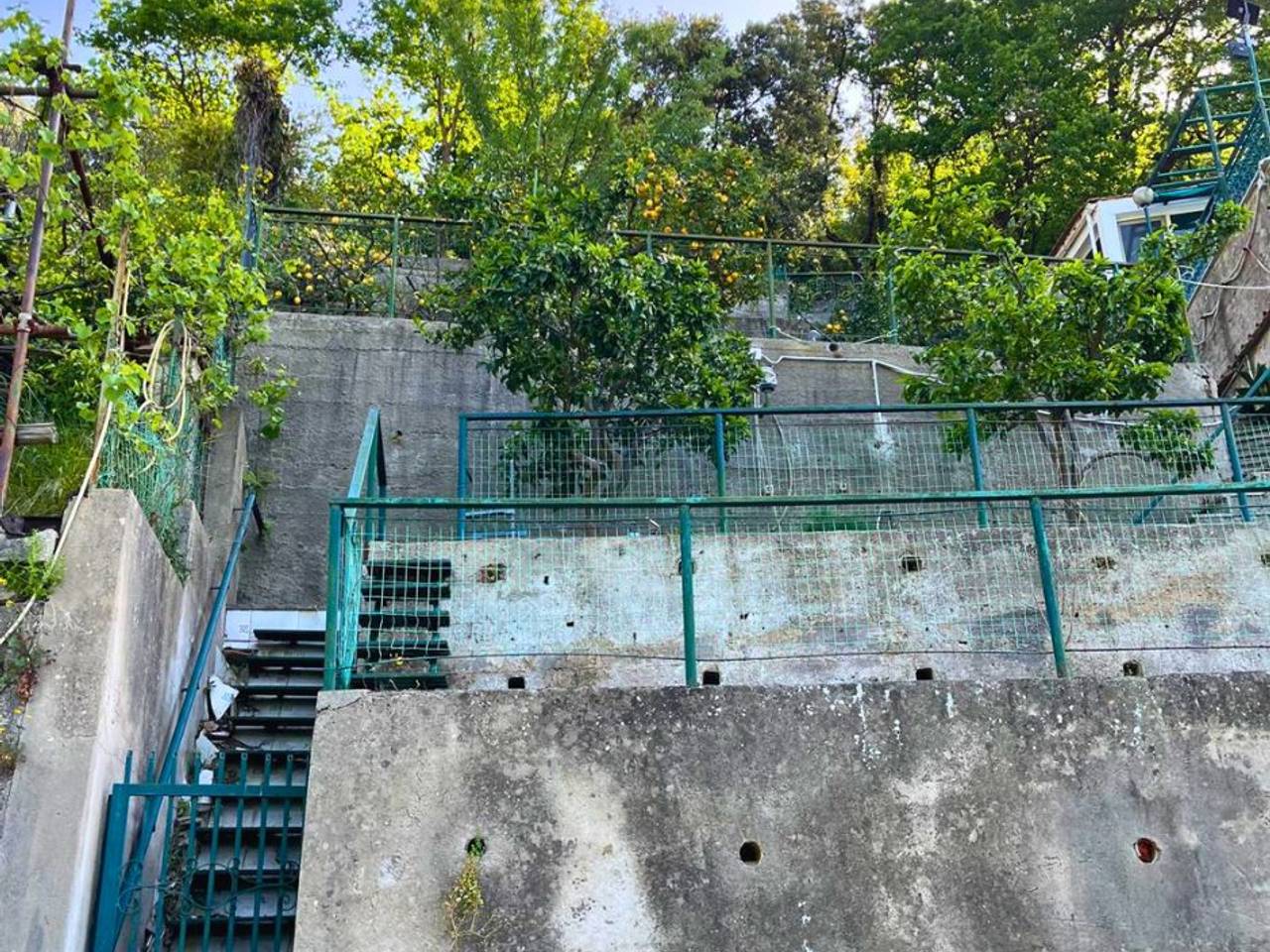immagine annuncio 13 di 14