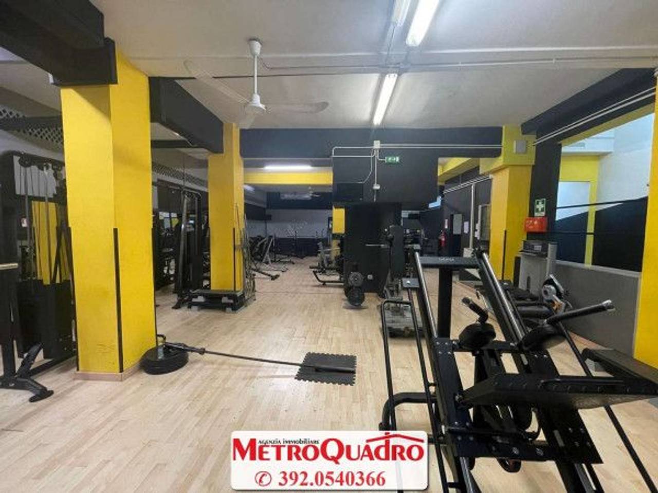 immagine annuncio 14 di 15