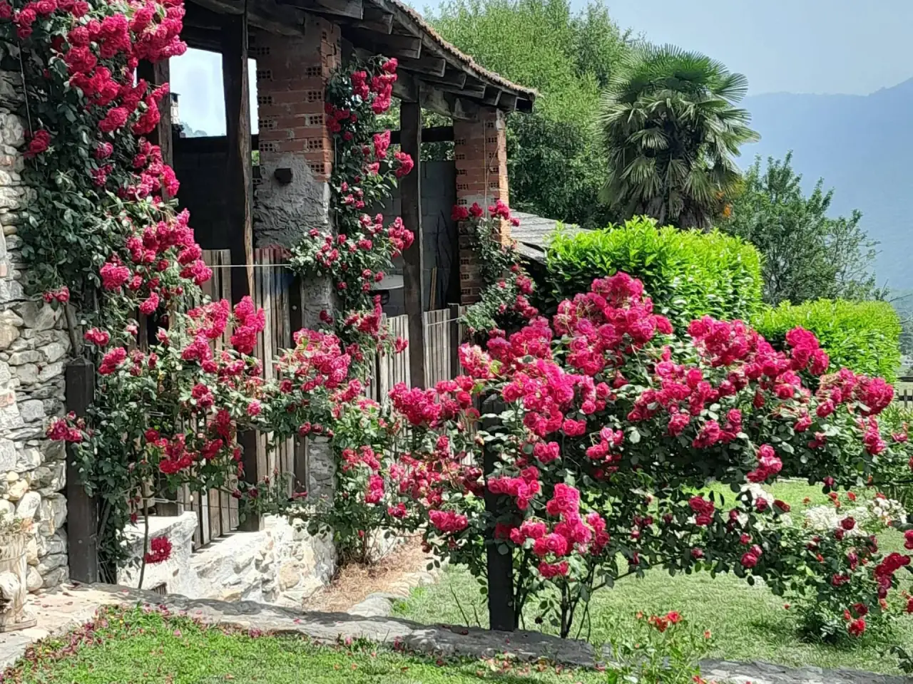Negozio in Località Pianta 8, Villar Pellice, {3} - Foto 1