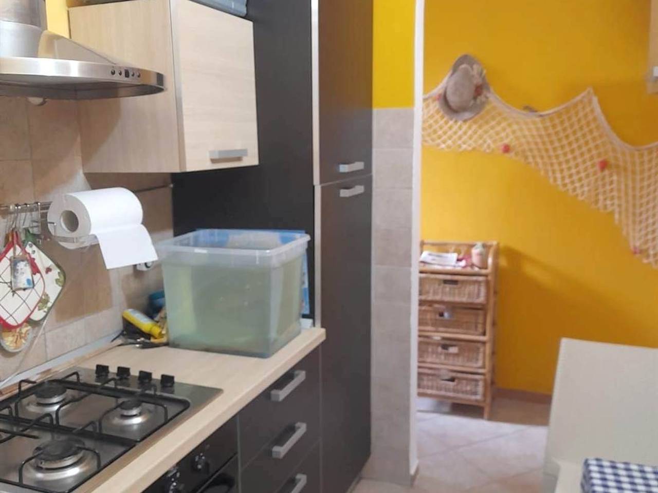 immagine annuncio 13 di 15