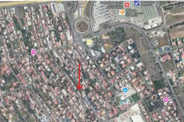 insertion image