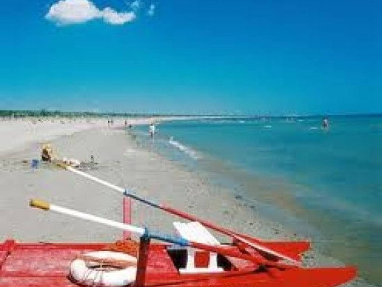 immagine annuncio 2 di 8