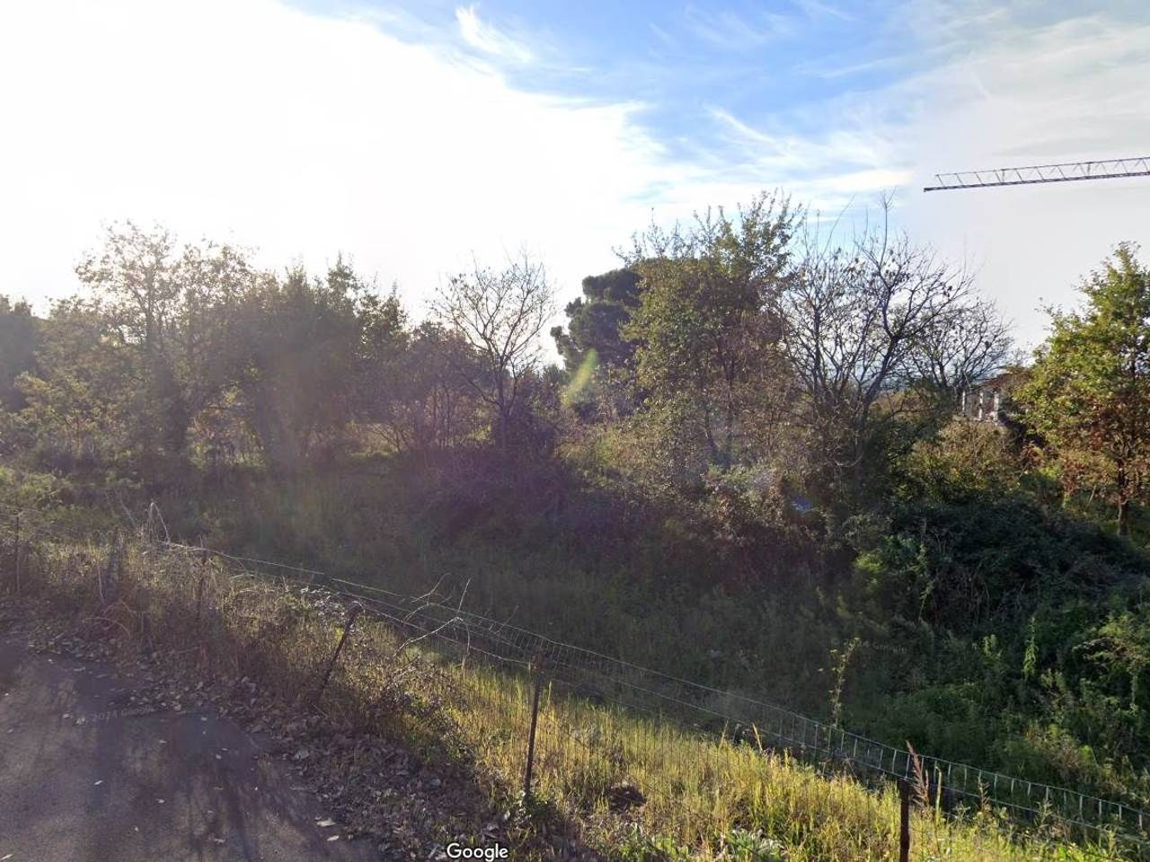 immagine annuncio 11 di 14